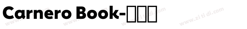 Carnero Book字体转换